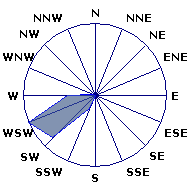 Wind Rose